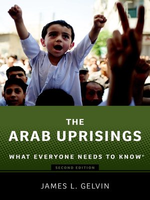 The Arab Uprisings - ebook